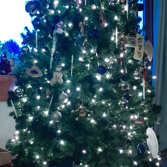 Meet your Posher, Bryn - Picture 1 of 1